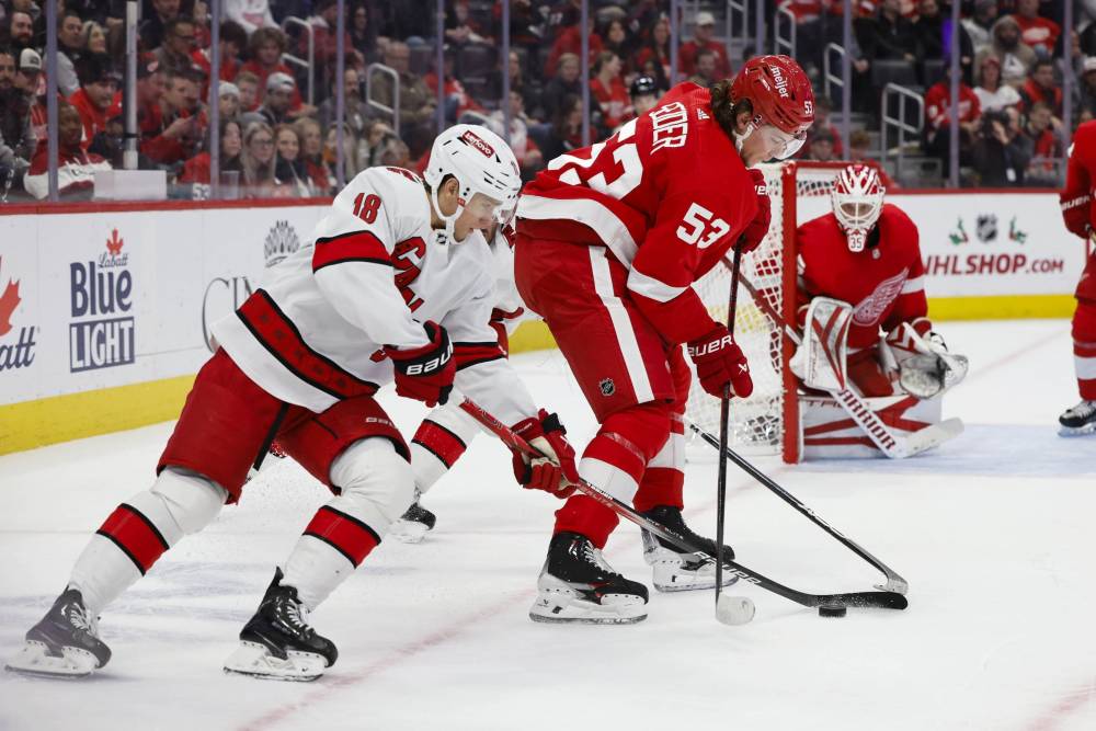 Hurricanes vs Red Wings Prediction NHL Picks Today 1/19